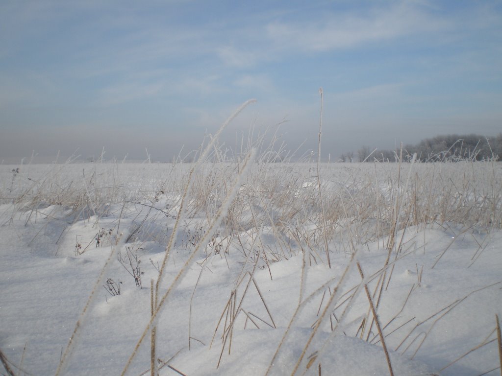 Зима в поле, Брагиновка