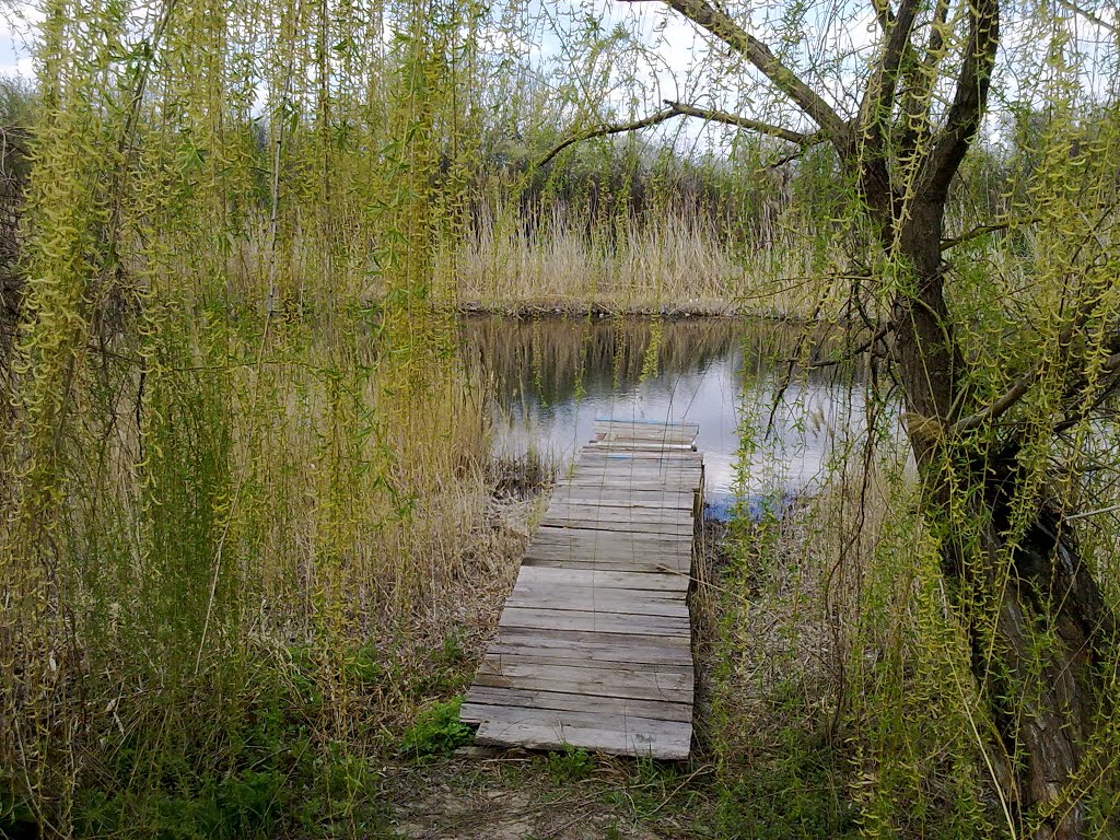 Весна на реке Бык, Брагиновка
