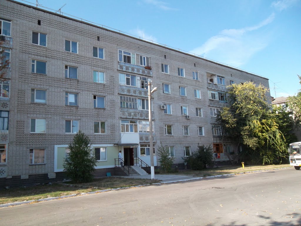 36 дом ул.петровского, Верхнеднепровск