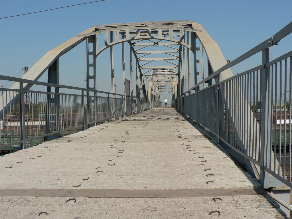 Железнодорожный мост в Верховцево, Верховцево