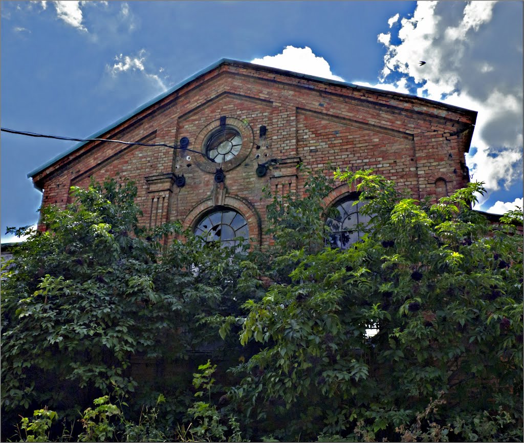 Здание старой мельницы в В.Тернах, Горняцкое