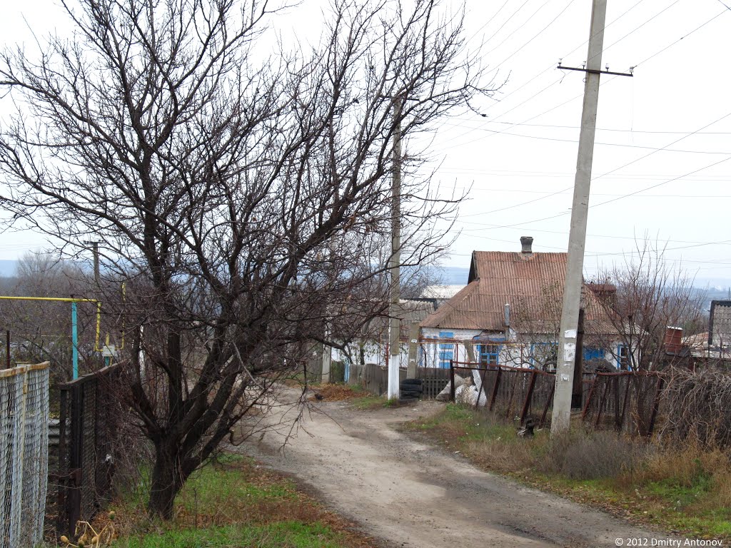 Селище Гірницьке (в народі - "Бурые угли"), 2012, Горняцкое