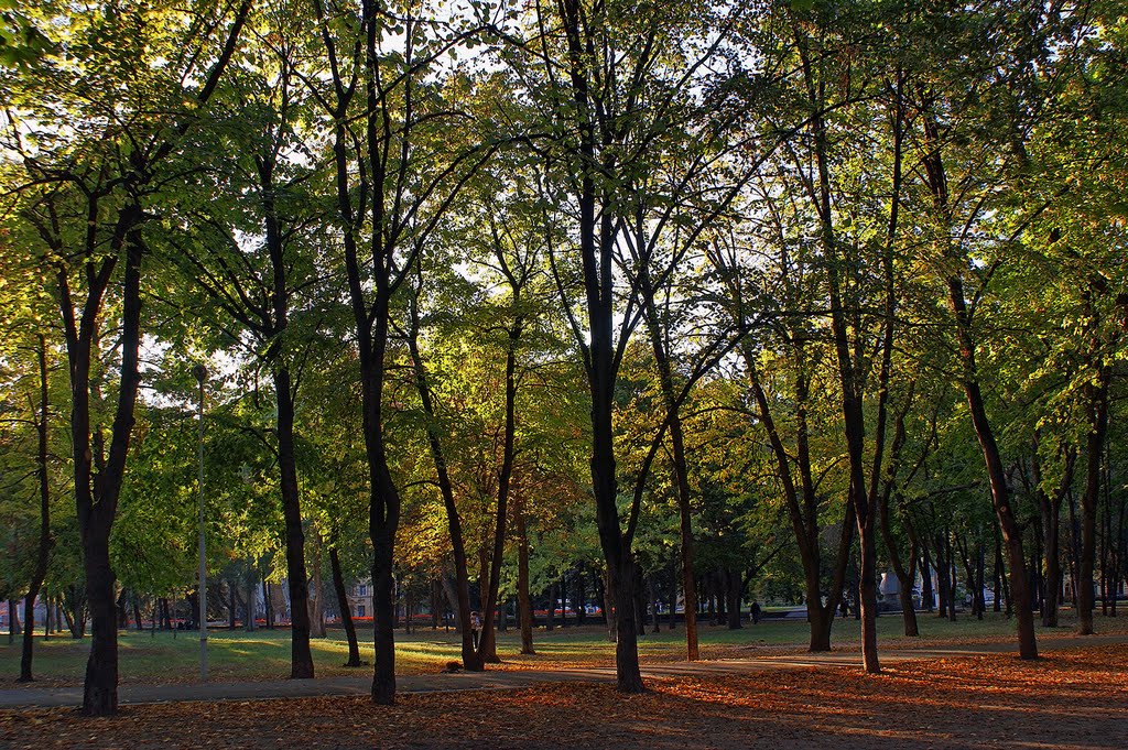 Autumn - Осень, Днепропетровск