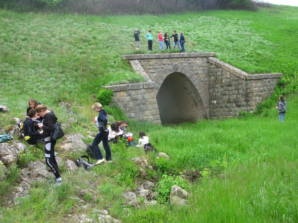 Old tunnel under railway and students, Зализничное
