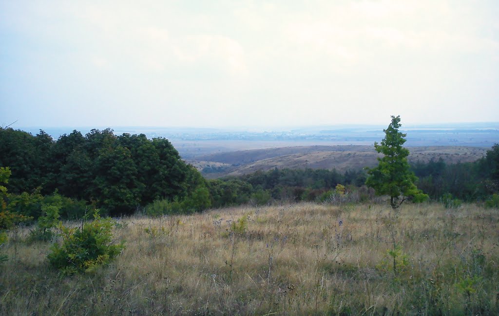 Вид с горы на село Криштоповка, Зеленое