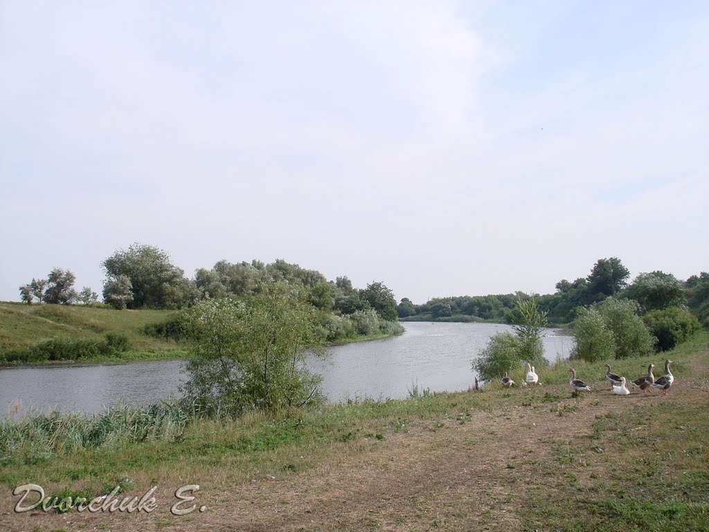 Зеленое, река Ингулец, 2009, Ингулец
