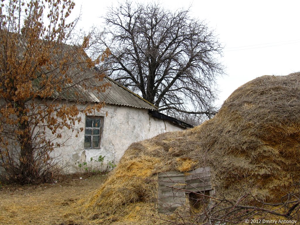 Будинок селянина у с.Інгулець (колишня єврейська колонія), 2012, Ингулец