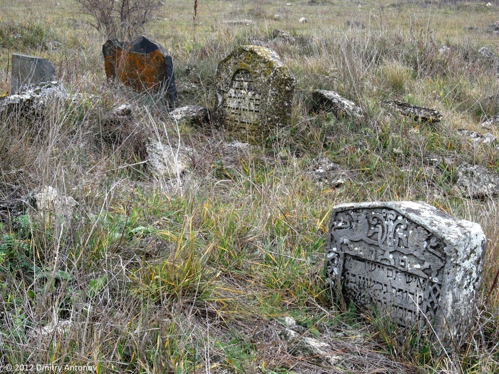 Старовинне кладовище єврейської колонії Інгулець. Знаходиться в занедбаному стані, поступово зникає. Фото 2012 р., Ингулец