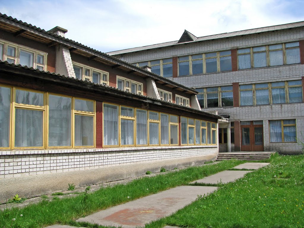 Школа №1, Кринички