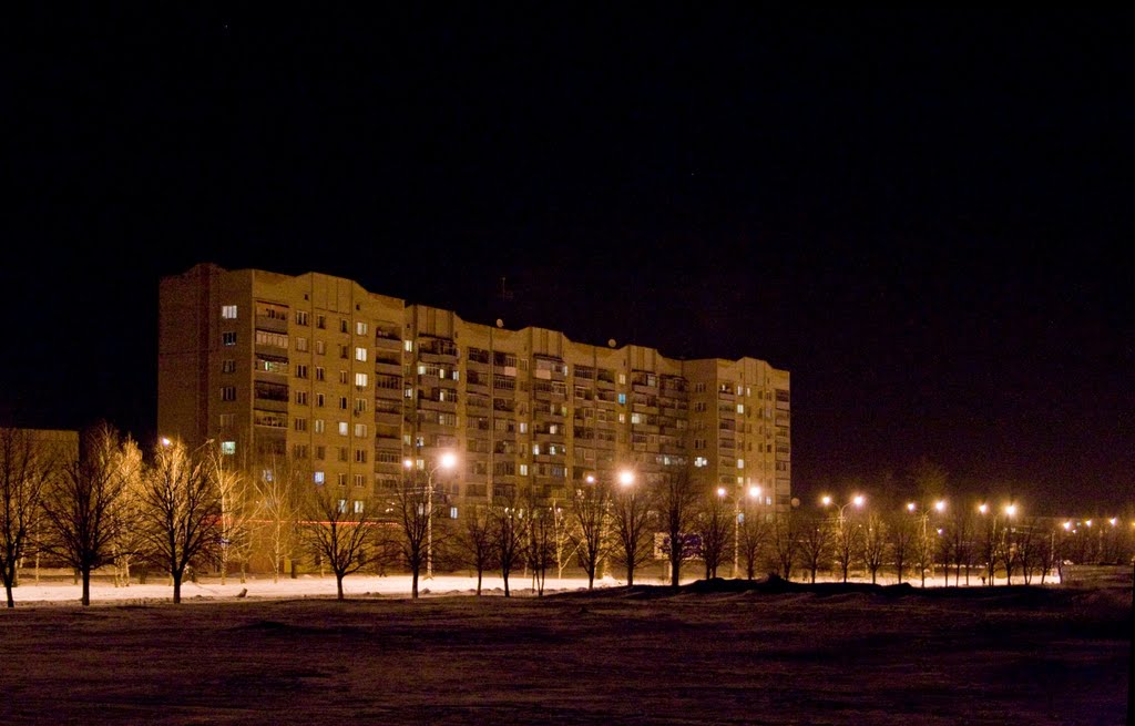 Ночь на ул.Первомайской, Никополь