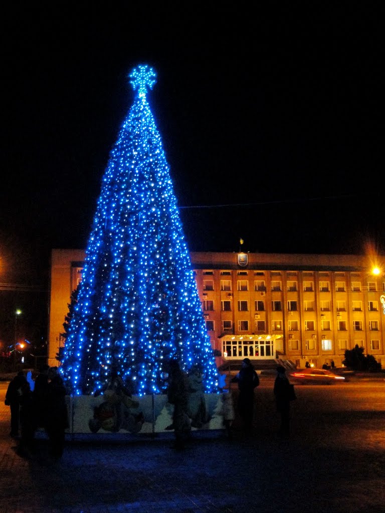 Городская елка, Никополь