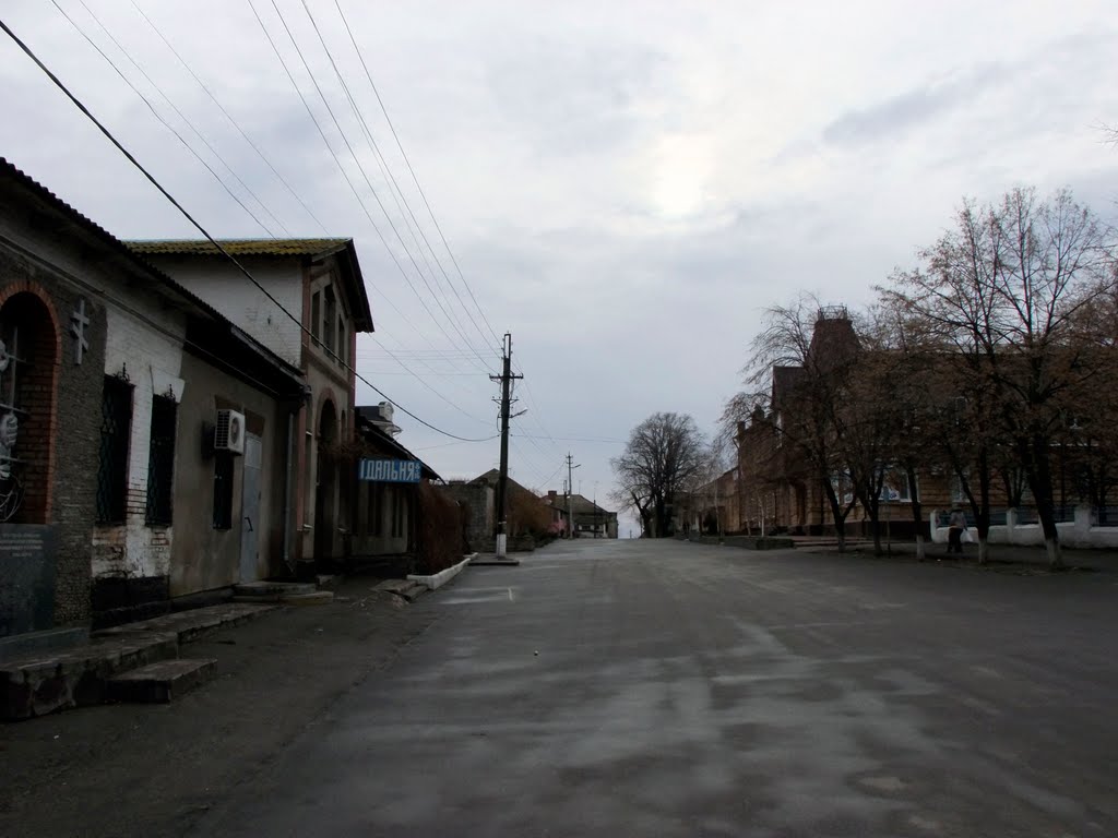 The Old District, Никополь