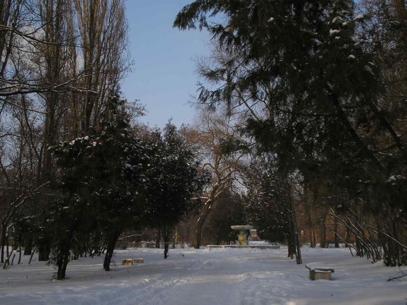 Парк фонтан, Орджоникидзе