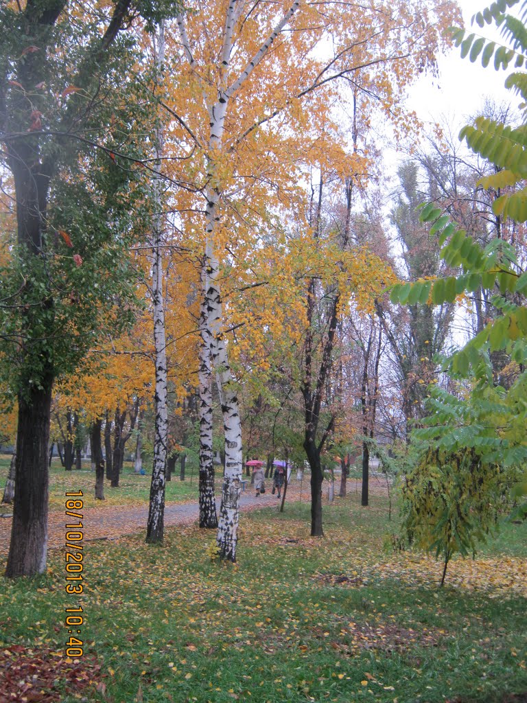 Осінні фарби, Петропавловка
