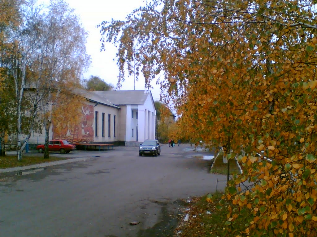 Районний будинок культури, Петропавловка