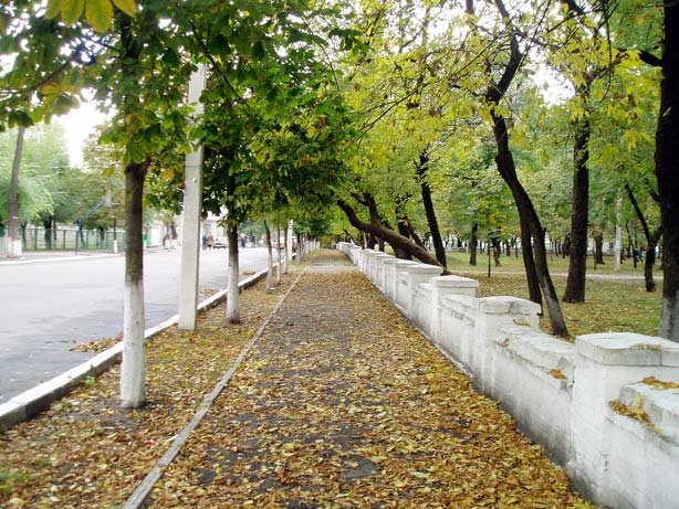 Petrovsky Street near Park, Синельниково