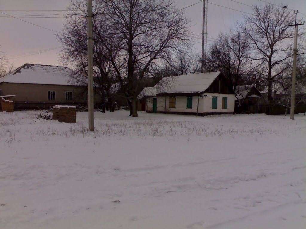 Старый дом, Синельниково
