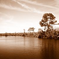 Pearl River, Louisiana, Пирл Ривер